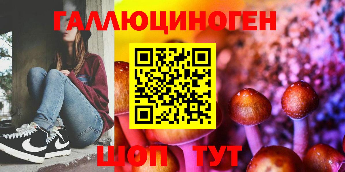 Псилоцибиновые грибы прущие грибы Шуя